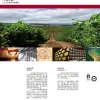 Royal Estate Fine Dry Red Wine Specification image